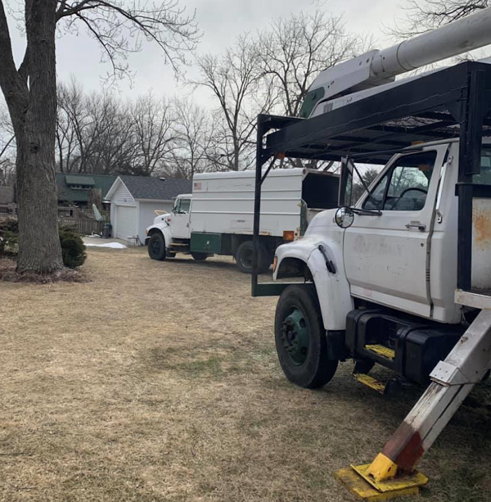 Twin Pines Tree Care Experts