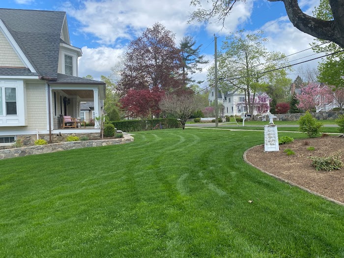 Organic Nature Lawn Care