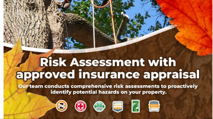 Jesses tree Consulting arborist services