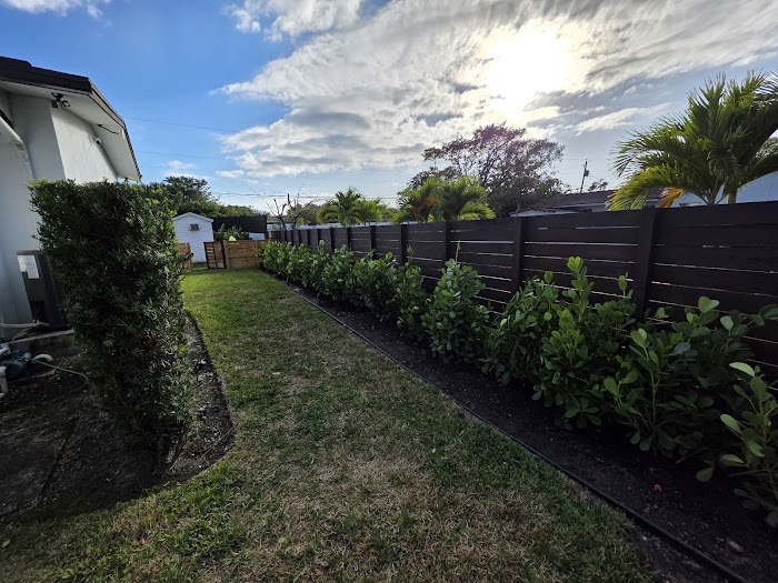 P&P Landscaping and Tree Service