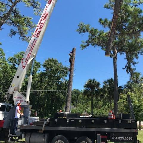 Eagerton Tree Service, LLC