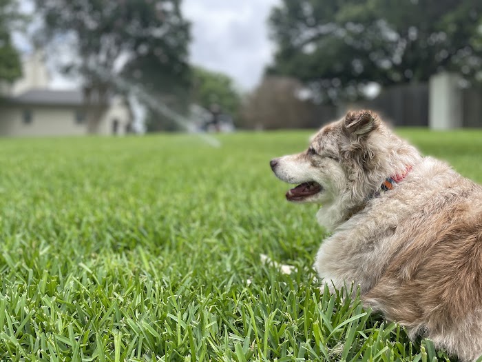 Heartland Sprinklers