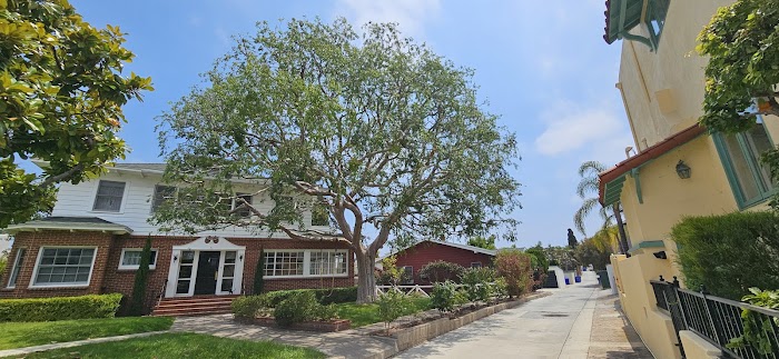 San Diego Tree Service Contractor