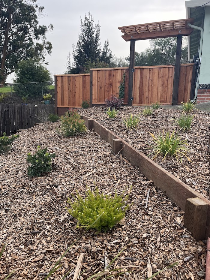 Bay Area Sprinkler & Landscape