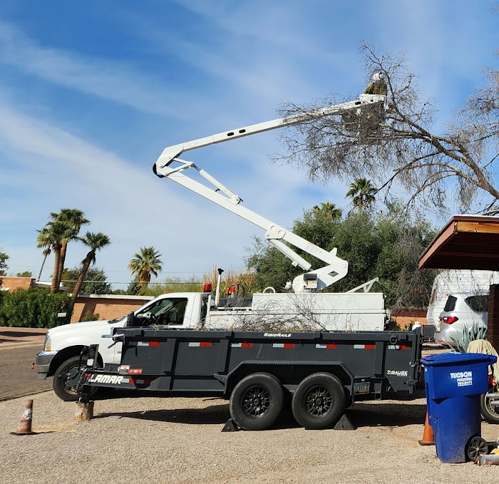 Affordable Yard & Tree Service LLC