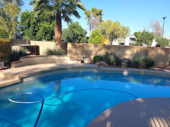 Palms and Trees USA Inc (Palms and Trees Landscaping )