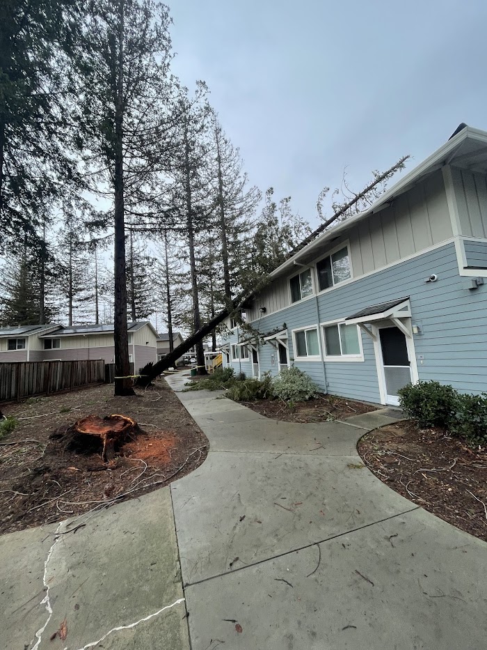 Obelisk Landscape Irrigation Services