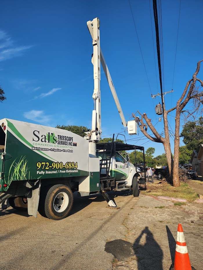 Sal’s Landscape & Tree Service
