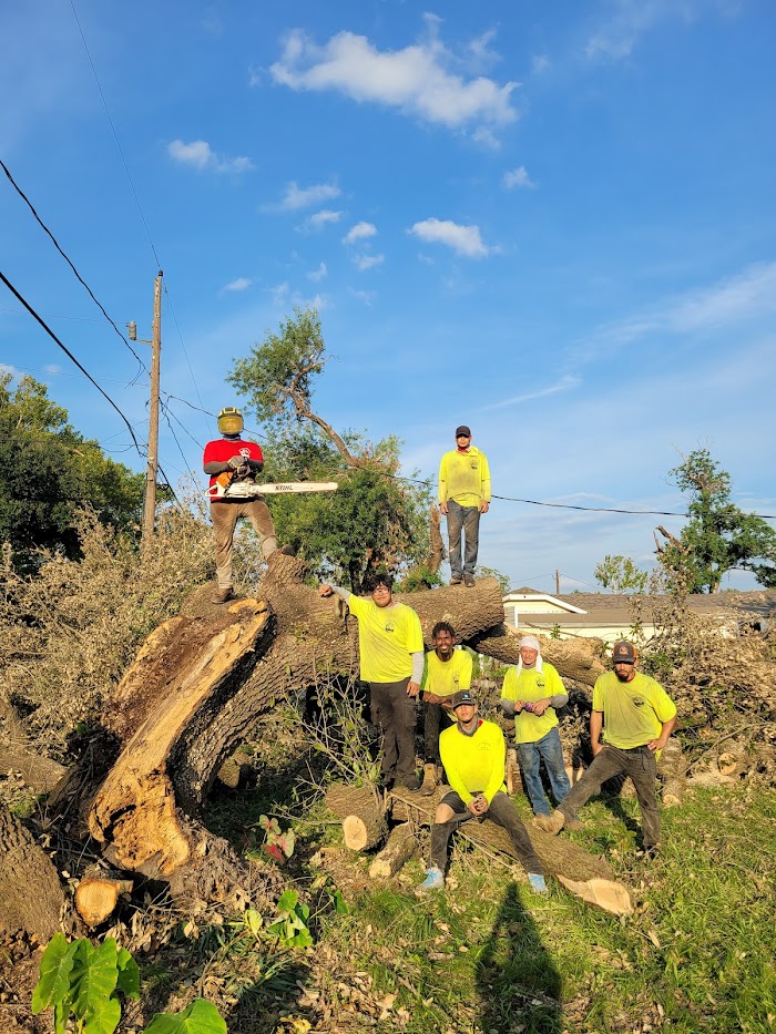 Trees Over Houston, LLC