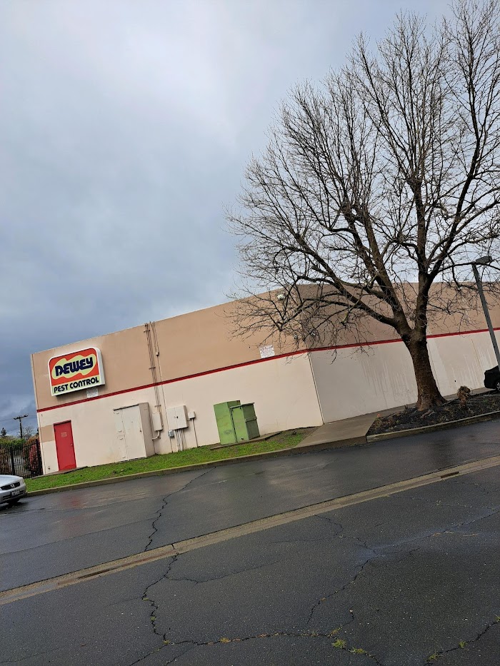 Dewey Pest & Termite Control