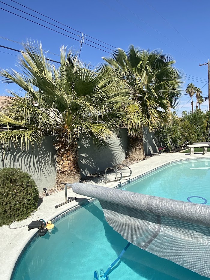 Sun City Tree Service