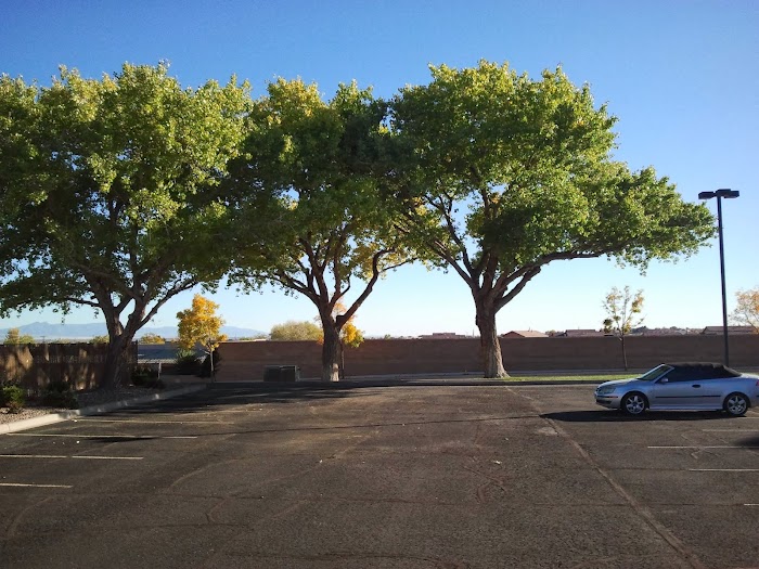 Albuquerque Tree Care
