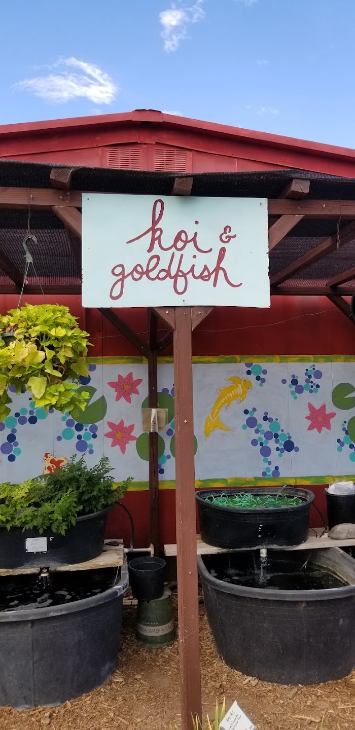 Albuquerque Water Gardens & Nursery