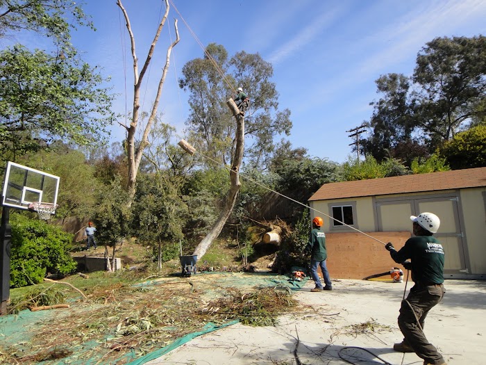 Mariposa Landscape & Tree Service Inc