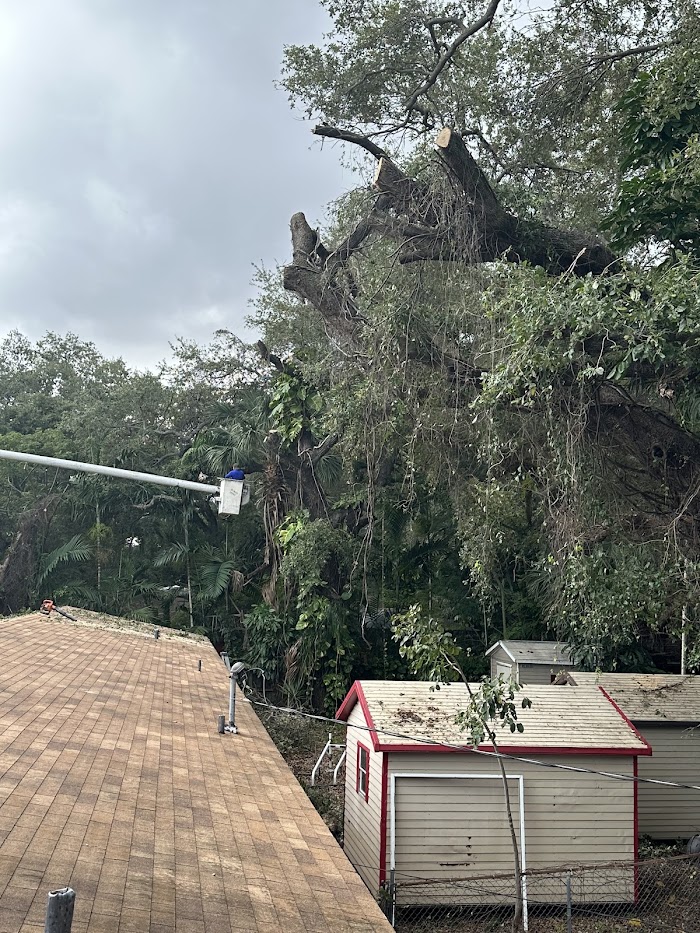 Onofre Tree & Lawn Service Since 2010