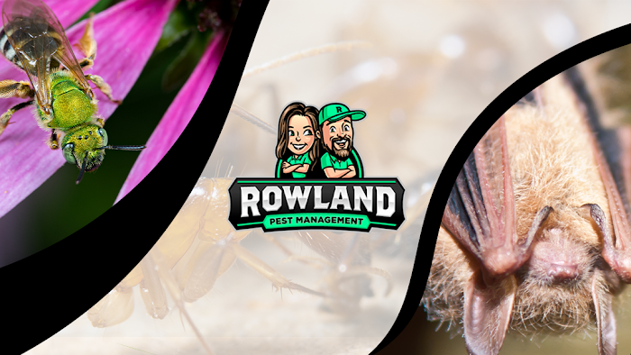 Rowland Pest Management, Inc.