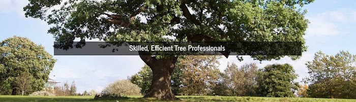 Beny’s Tree Service