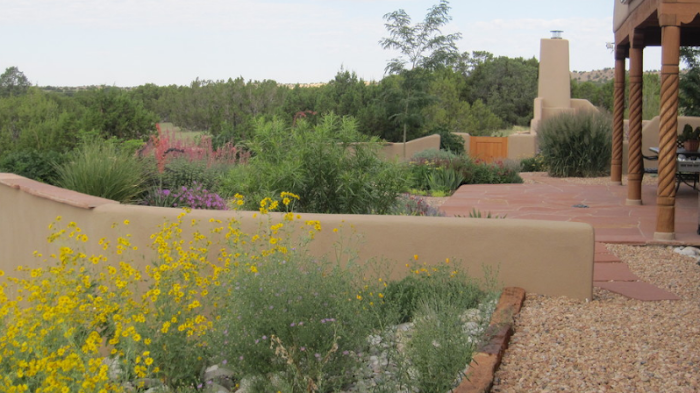 Native Bloom Landscaping