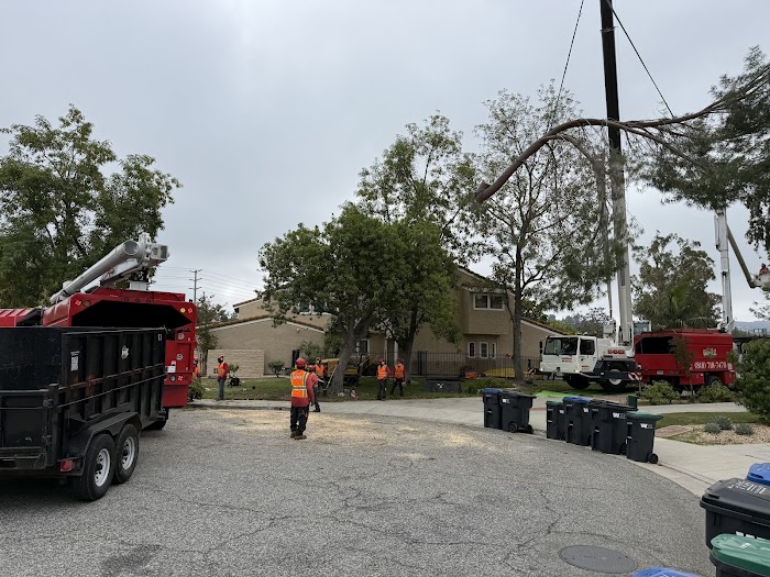 Gomez Landscape & Tree Care, Inc.