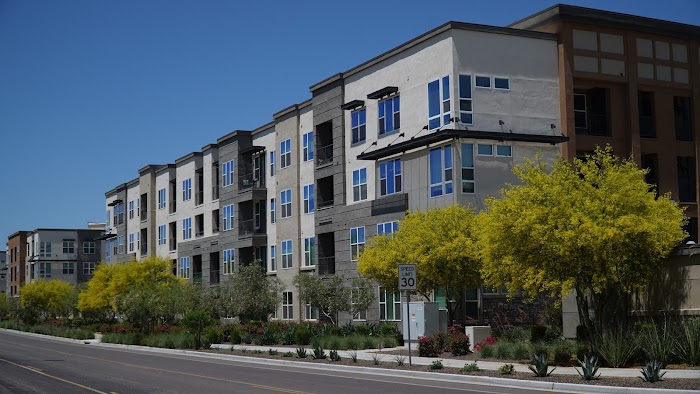 Phoenix Tree and Landscape LLC