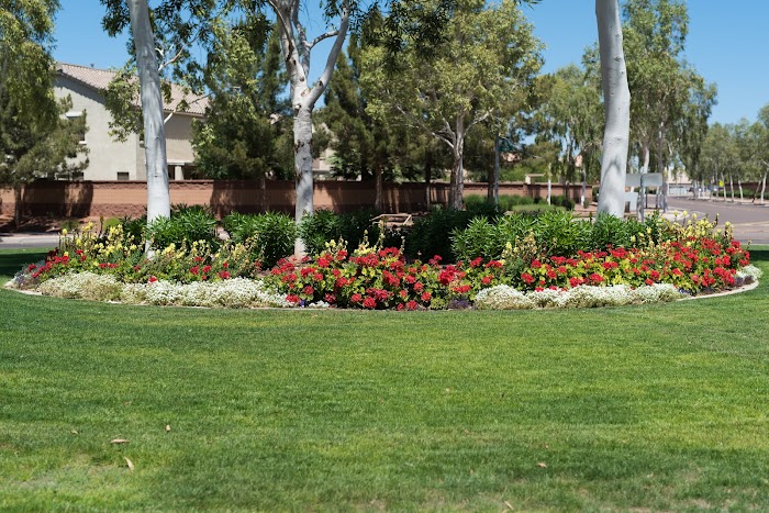 Genesis Landscape Solutions