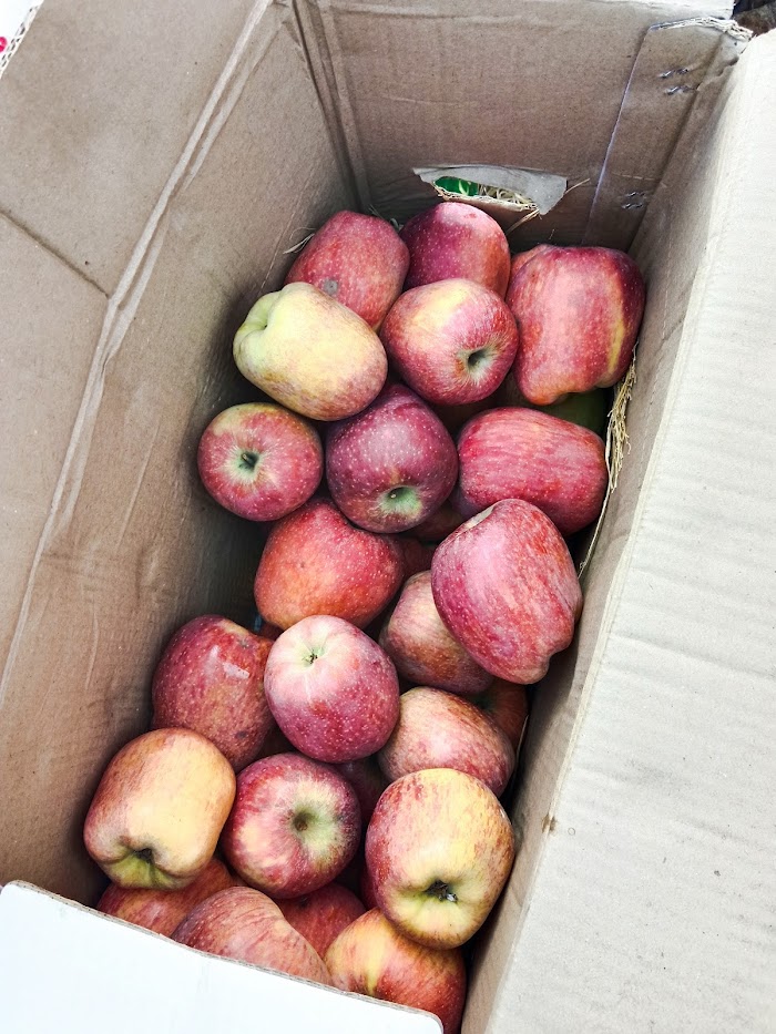 Heritage Landscape Supply