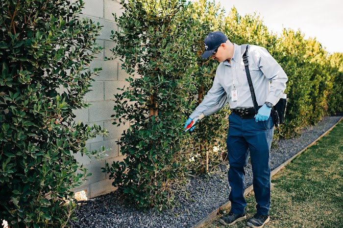 Blue Sky Pest Control