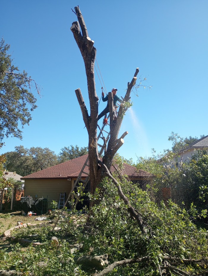 Military City Lawn&Tree Care