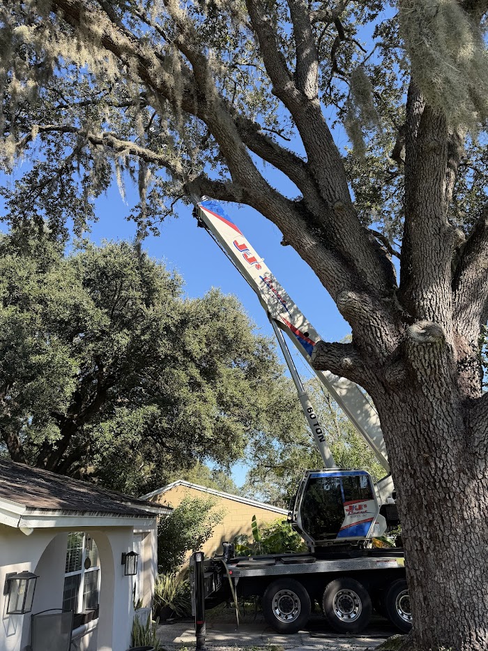 J&J’s Lawn and Tree Services