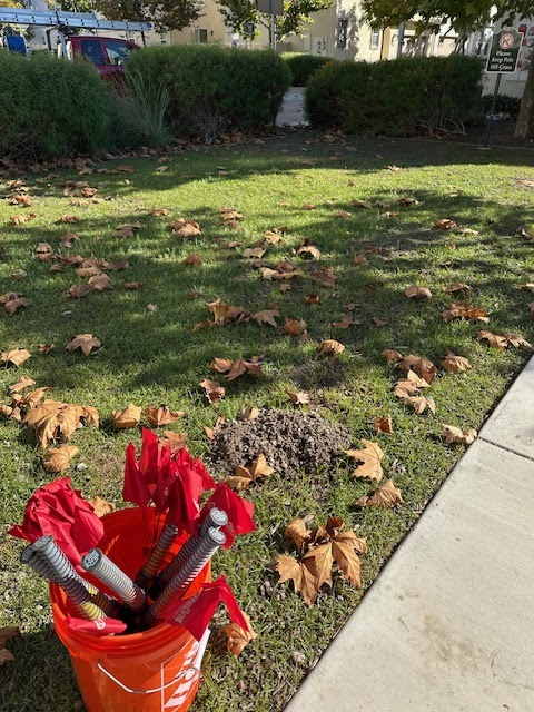 We Got Ya Pest Control !