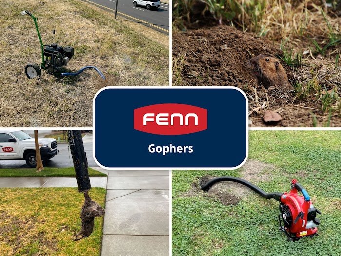 Fenn Termite + Pest Control