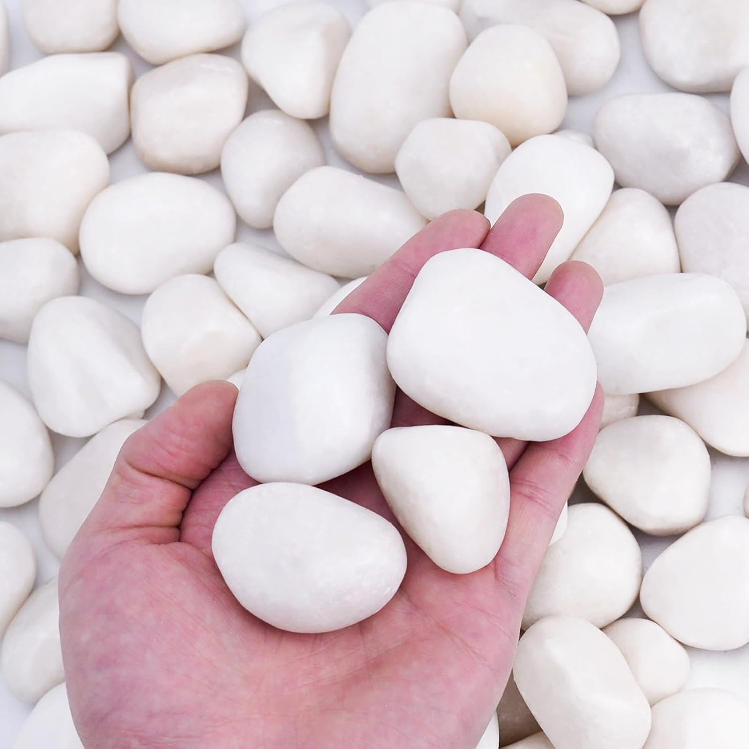 15 lbs White Rocks for Landscaping, 1-2 inch Large White Rocks for Plants, Decorative Polished Stones for Garden, Walkways, Yard, Plants Pots, Vases, Crafts